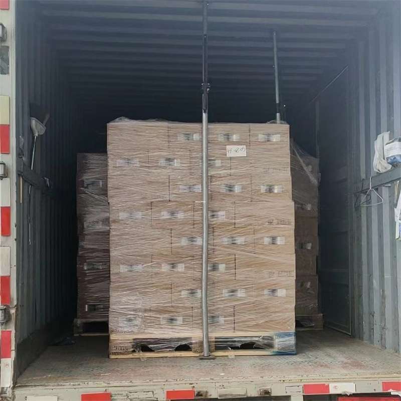 八步区龙岩市物流专线运输：多元服务与高效体验