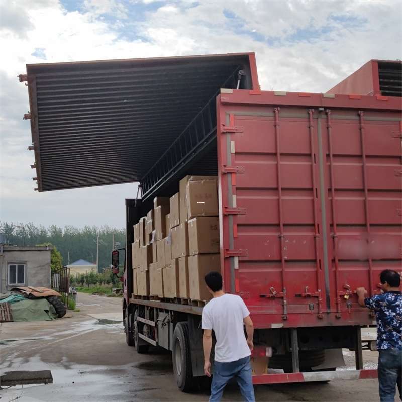 八步区扎囊县：物流专线的高效货运之旅